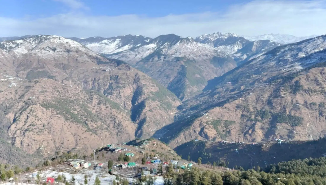The Gaddi Migration: A Winter Odyssey