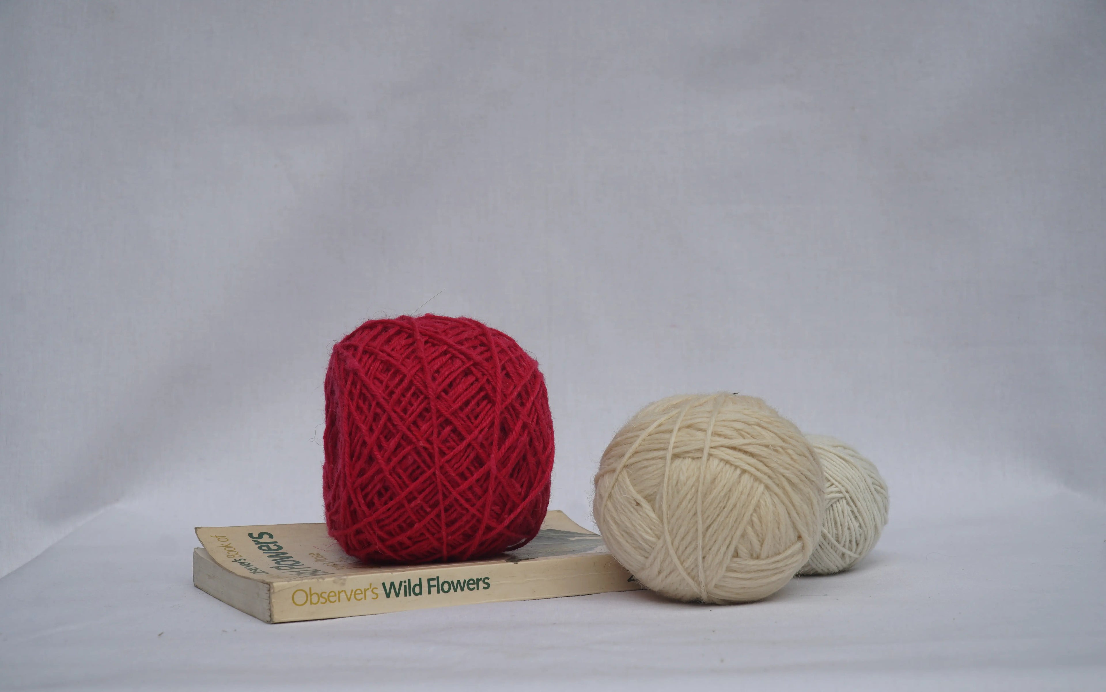 Angora Wool in Pink Nectar